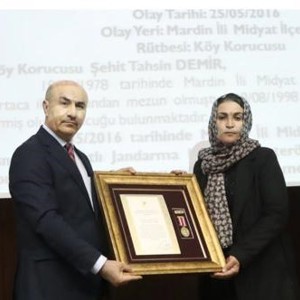 Devlet Övünç Madalyası ve Beratları - fotoğraf 7