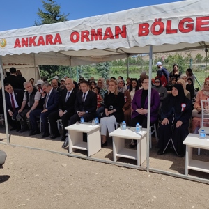 15 Temmuz Türkiye Aşkına Etkinlikleri Kapsamında Hatıra Ormanı Oluşturuldu. - fotoğraf 3