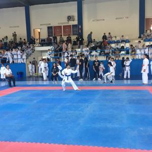 Karate Turnuvasından Çocuklarımız Başarıyla Döndüler - fotoğraf 2