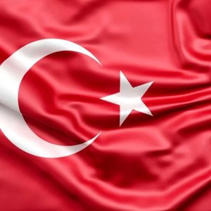 Kore Gazimiz Ali ÇETİNKAYA Son Yolculuğuna Uğurlandı - fotoğraf 1