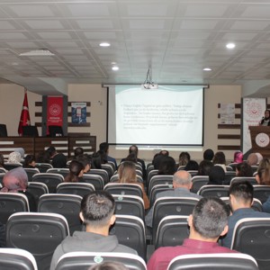 “Kadına Yönelik Şiddetin Psikolojik Boyutu” Konulu Süpervizyon Eğitimini Gerçekleştirdi - fotoğraf 1