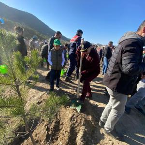 11 Kasım Millî Ağaçlandırma Günü  - fotoğraf 3
