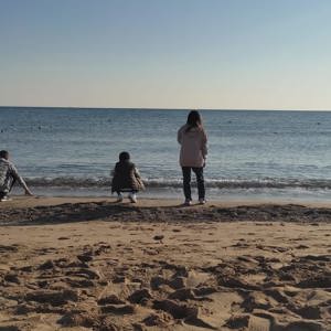 Mersin Satranç Turnuvası - fotoğraf 6