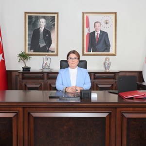 Aile ve Sosyal Hizmetler Enstitüsü Kuruluyor - fotoğraf 1