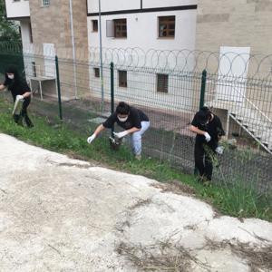 Çevre Haftası Etkinlikleri - fotoğraf 1