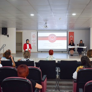 Denizli Kadına Yönelik Şiddetle Mücadele İl Eylem Planı 3. Teknik Kurul Toplantısı Gerçekleştirildi - fotoğraf 1