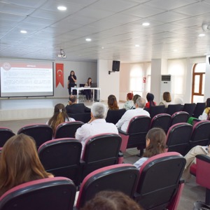 Denizli Kadına Yönelik Şiddetle Mücadele İl Eylem Planı 3. Teknik Kurul Toplantısı Gerçekleştirildi - fotoğraf 2