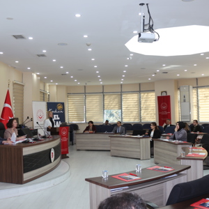 Vali Yardımcımız Sayın İdil ÖZDEMİR DOĞAN Başkanlığında Kadına Yönelik Şiddetle Mücadele İl Koordinasyon Toplantısı Gerçekleştirildi - fotoğraf 2