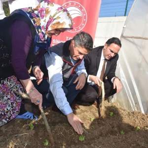 Cumhuriyetimizin 100. Yılında 100 Etkinlik Kapsamında Fidan Dikimi Gerçekleştirildi - fotoğraf 2