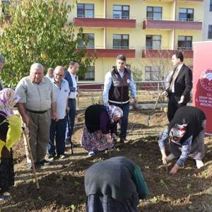 Cumhuriyetimizin 100. Yılında 100 Etkinlik Kapsamında Fidan Dikimi Gerçekleştirildi - fotoğraf 3