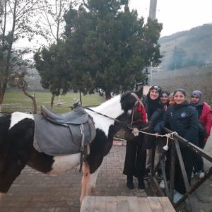 At Çiftliği Gezi Etkinliği - fotoğraf 1