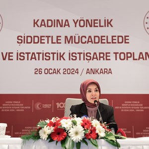Aile ve Sosyal Hizmetler Bakanımız Göktaş, Kadına Yönelik Şiddetle Mücadelede Veri ve İstatistik İstişare Toplantısı'na Katıldı - fotoğraf 3