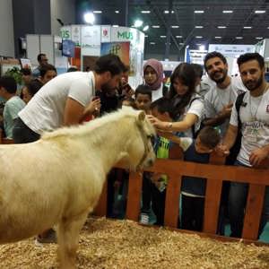 5. Van Gölü Balığı Festivali - fotoğraf 2