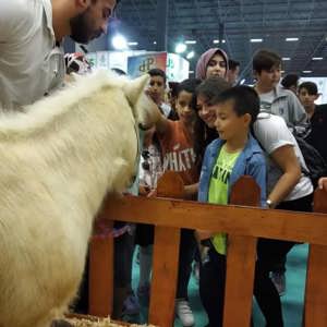 5. Van Gölü Balığı Festivali - fotoğraf 5