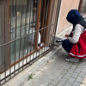 Aile ve Sosyal Destek Programı (ASDEP), Ailelerin Yanında - fotoğraf 10