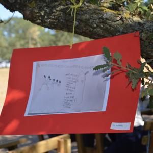 Koruyucu Aile Günü Piknik etkinliği ile kutlandı. - fotoğraf 9