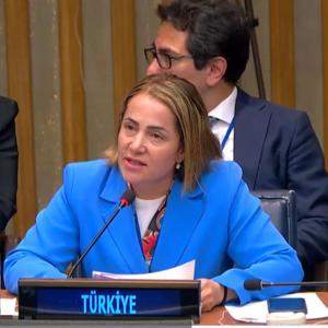 17th Conference of States Parties to the Convention on the Rights of Persons with Disabilities Held in New York - fotoğraf 1