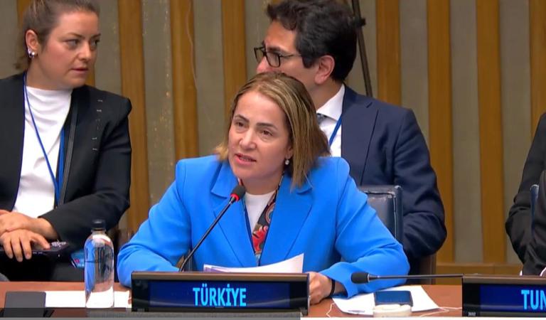 17th Conference of States Parties to the Convention on the Rights of Persons with Disabilities Held in New York