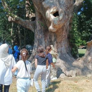 Samsun Çocuk Evleri'nden Çocuklarımızla Tekkeköy'ün Tarihi ve Doğal Güzellikleriyle Buluşma - fotoğraf 3