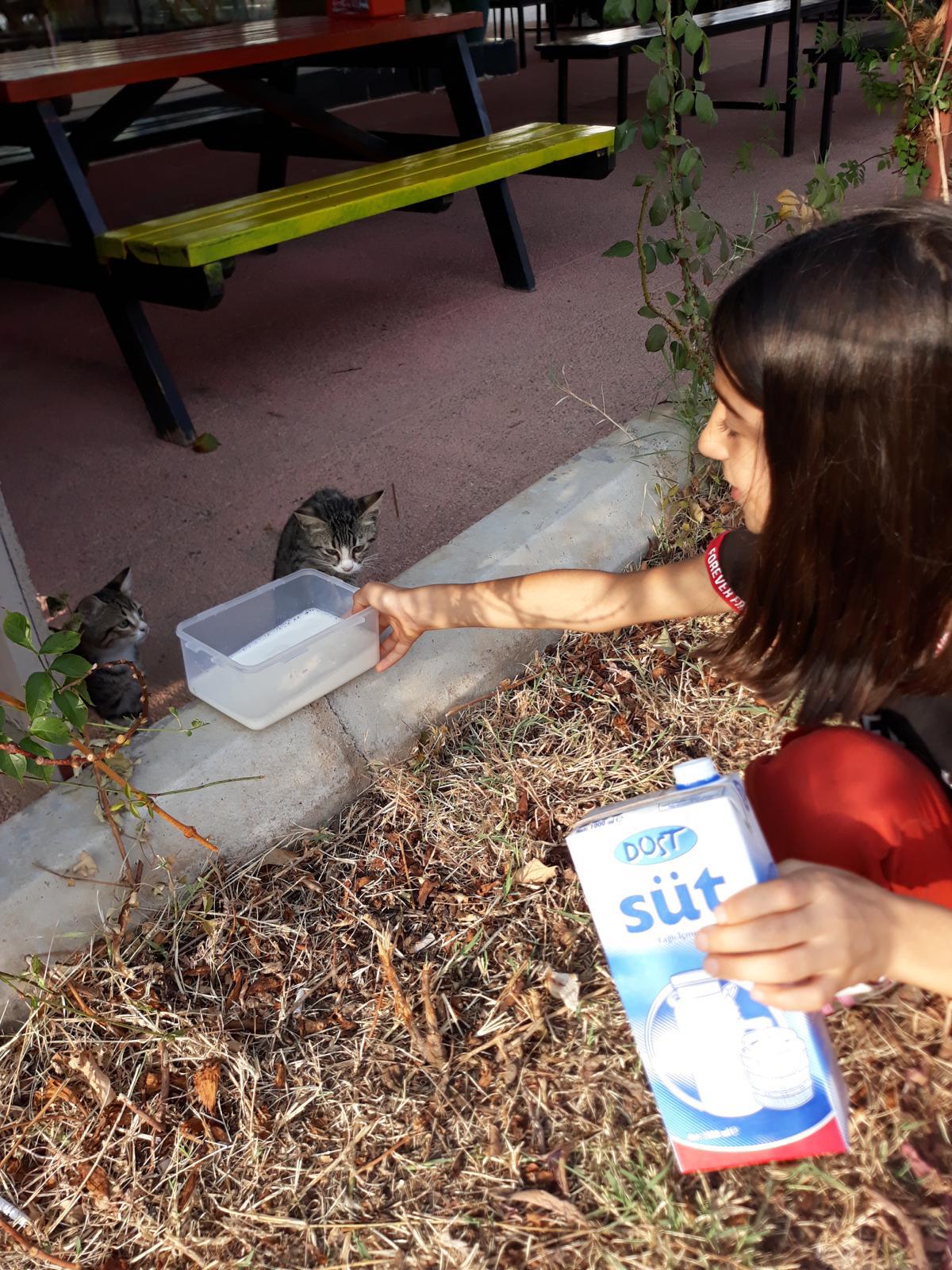 Cocuk Evleri Koordinasyon Merkezi Mudurlugu'nden Hayvanlari Koruma Gunu'nde Anlamli Etkinlik