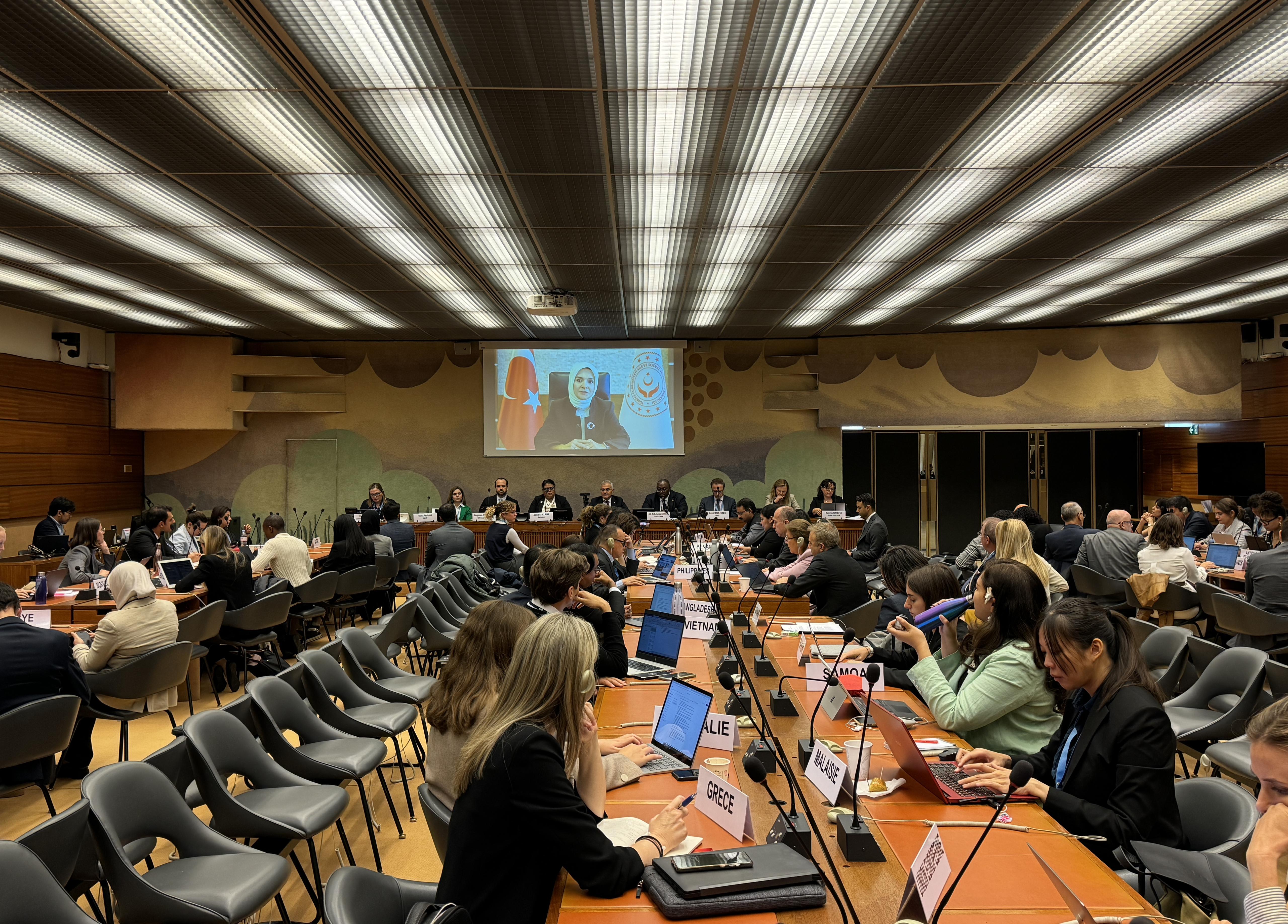 BM'de, Türkiye'nin öncülük ettiği Sıfır Atık Hareketi "insani hakları ve kadın" açısından ele alındı
