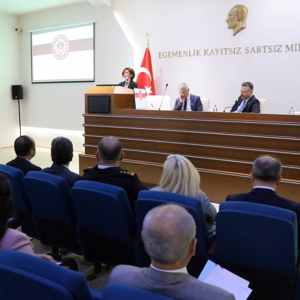 Kadına Yönelik Şiddetle Mücadele 3. Dönem Toplantısı - fotoğraf 6
