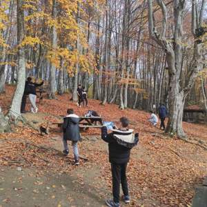 Hasan Doğan Çocuk Evleri Sitesinde Kalan Geçlerimizin Bolu Gezisi… - fotoğraf 4