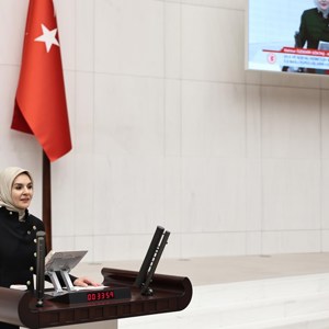 Aile ve Sosyal Hizmetler Bakanlığının 2025 Yılı Bütçesi TBMM Genel Kurulu’nda Kabul Edildi - fotoğraf 3