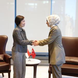 Bakanımız Göktaş, BM'deki Kadının Statüsü Komisyonu toplantısına katıldı - fotoğraf 8