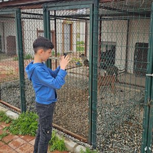 "Hayvan Tedavi Bakım ve Rehabilitasyon Merkezine ziyaret" - fotoğraf 1