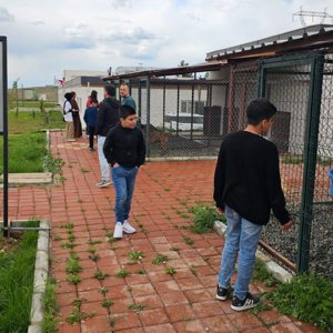 "Hayvan Tedavi Bakım ve Rehabilitasyon Merkezine ziyaret" - fotoğraf 4