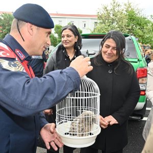 Çocuk Gülerse, Dünya Güler - fotoğraf 1