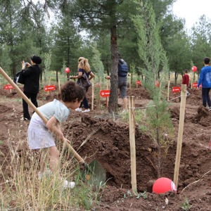 Koruyucu Aile Hatıra Ormanı - fotoğraf 18