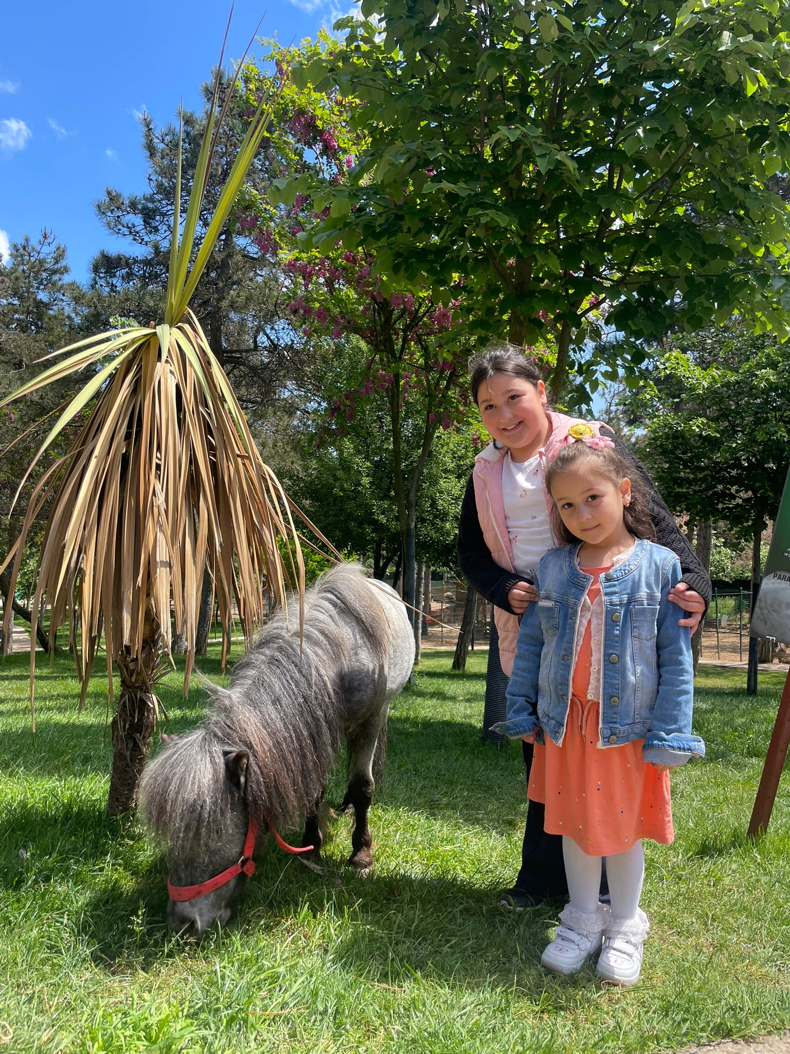 2025 Aile Yılı Kapsamında Ailelerimiz ve Çocuklarımızla Çekmeköy Hayvanat Bahçesi’nde Rehabilitasyon Gezisi