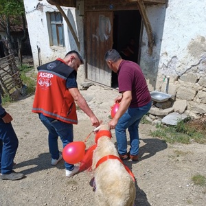 Bayram Sevinci Mahalle Mahalle Paylaşıldı - fotoğraf 6