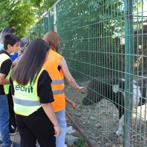 Birlikte Güldük, Birlikte Keşfettik - fotoğraf 6