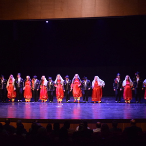 10-16 Mayıs Engelliler Haftası Salon Programı - fotoğraf 10
