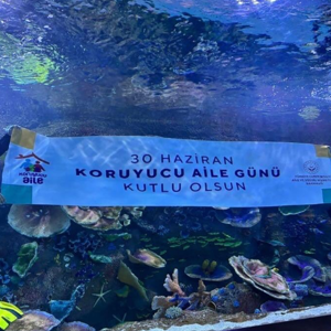 30 Haziran Koruyucu Aile Günü Kutlu Olsun - fotoğraf 1