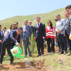 2025 Aile Yılı Kapsamında Bitlis’te “Hatıra Ormanı” Oluşturuldu - fotoğraf 4