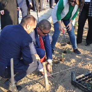 “NESİLLER HUZUR BAHÇELERİNDE BULUŞUYOR” MUHARREM SANCAKLI HUZUREVİ BAHÇESİNDE TIBBİ VE AROMATİK BİTKİ DİKİLDİ. - fotoğraf 15