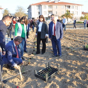 “NESİLLER HUZUR BAHÇELERİNDE BULUŞUYOR” MUHARREM SANCAKLI HUZUREVİ BAHÇESİNDE TIBBİ VE AROMATİK BİTKİ DİKİLDİ. - fotoğraf 16