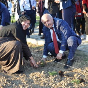 “NESİLLER HUZUR BAHÇELERİNDE BULUŞUYOR” MUHARREM SANCAKLI HUZUREVİ BAHÇESİNDE TIBBİ VE AROMATİK BİTKİ DİKİLDİ. - fotoğraf 19