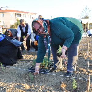 “NESİLLER HUZUR BAHÇELERİNDE BULUŞUYOR” MUHARREM SANCAKLI HUZUREVİ BAHÇESİNDE TIBBİ VE AROMATİK BİTKİ DİKİLDİ. - fotoğraf 28