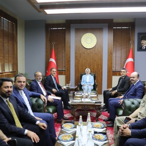 Bakanımız Göktaş, Bingöl'de Gönül Elçileri ile Koruyucu Aile Farkındalık Toplantısı'nda konuştu - fotoğraf 6