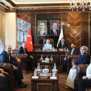 Bakanımız Göktaş, Bingöl'de Gönül Elçileri ile Koruyucu Aile Farkındalık Toplantısı'nda konuştu - fotoğraf 8