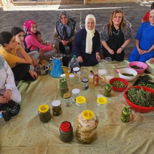19 Mayıs Çok Amaçlı Toplum Merkezi Aşçı Yardımcılığı kursu - fotoğraf 2