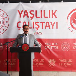 İlimizde Yaşlı Çalıştayı Gerçekleştirildi - fotoğraf 1