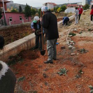11 Kasım “Milli Ağaçlandırma Günü” kapsamında ağaç dikimi gerçekleştirildi. - fotoğraf 1
