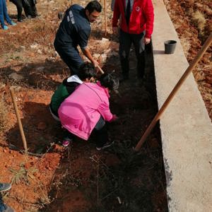 11 Kasım “Milli Ağaçlandırma Günü” kapsamında ağaç dikimi gerçekleştirildi. - fotoğraf 5