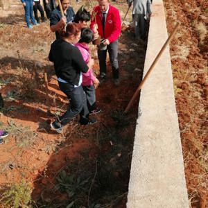 11 Kasım “Milli Ağaçlandırma Günü” kapsamında ağaç dikimi gerçekleştirildi. - fotoğraf 6
